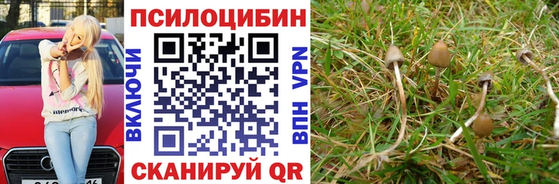 Галлюциногенные грибы мухоморы  купить закладку  Разумное 
